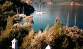9 Day dream...