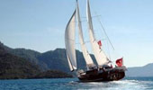 Exclusive Tours with Blue Voyage